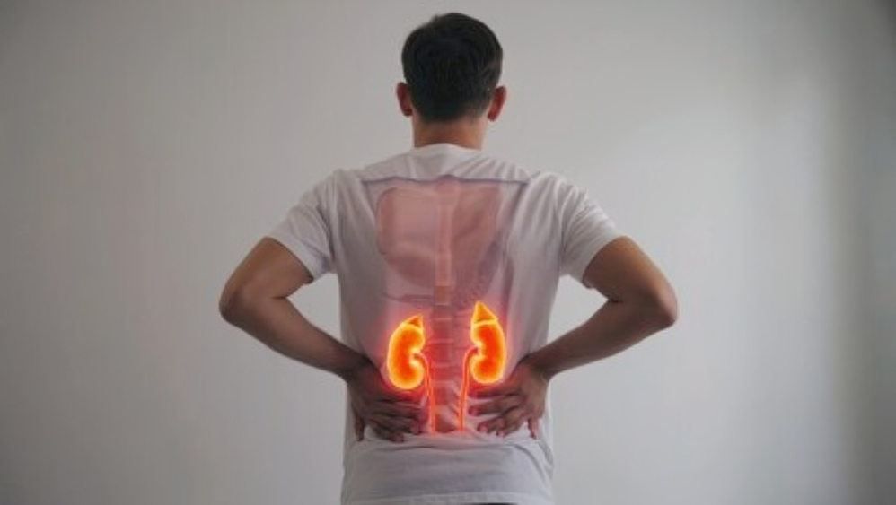 Natural homeopathic treatment for kidney and urinary problems